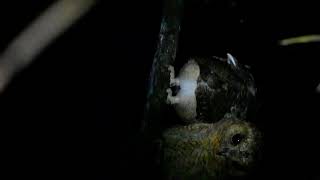 DSC 0330