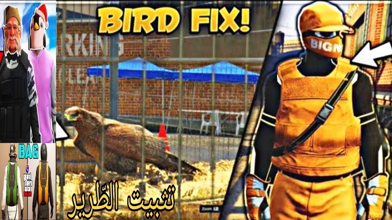 لكلّ من عنده مُشكل تدبيل الطّير في الدّيركتر مود/How To duplicate The Bird and find out The raison