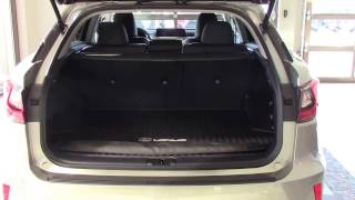 2017 RX450h Cargo Demonstration