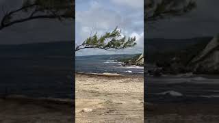 Scenic views in Barbados | Island Tour shorts islandtour barbados