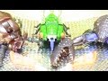 【コマ撮り】TRANSFORMERS   TRIPREDACUS  トリプルダクス   BEAST WARS　ビーストウォーズ