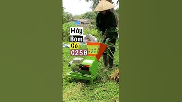 Cỏ voi, thân cây ngô được băm dễ dàng với Máy Băm Cỏ Mini C250 Bình An