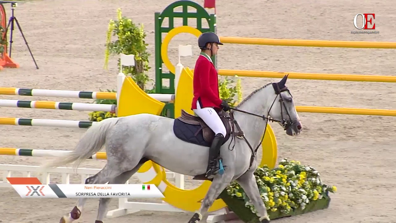 OE TV 1. Neri Pieraccini with Sorpresa della Favorita | Juniors Team Championship