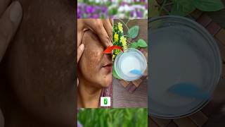 Rice face mask for milky and glass skin glow✨ #viral #ytshorts #youtubeshorts