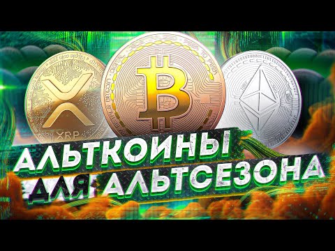 Наши альткоины в криптопортфеле | как грамотно вести учет своей крипты | Cryptus