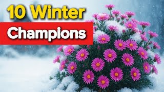 10 Cold-Hardy Plants That Survive Winter (Last One Will Shock You!)