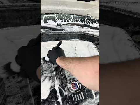 Motorreinigung beim Alpina