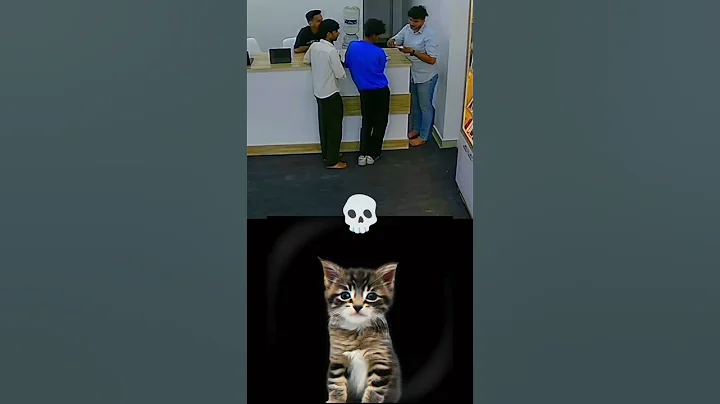 Wait for twist 👉🪢 #cat #dance #meme #edit