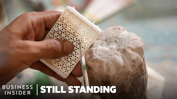 How Bone Carvers In India Are Keeping A Prehistori...