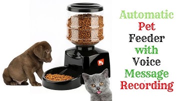 Automatic Pet Feeder with Voice Message Recording 2019