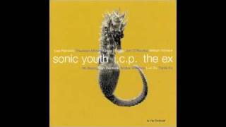 SONIC YOUTH + I.C.P. + THE EX / IN THE FISHTANK 9 [12inch - fish 9