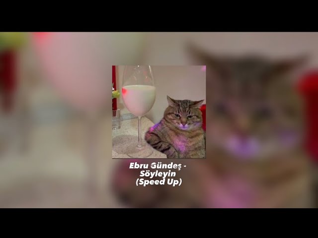 Ebru Gündeş - Söyleyin (Speed Up)