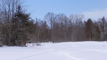 2020 Backcountry 850 146in track/ Jaws Race Can