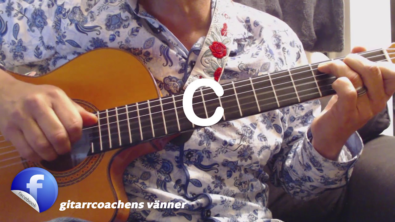 Lär Dig Spela Gitarr Nybörjare App