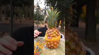 Quanti Elastici Servono Per Farla Esplodere? 🍍 Resimi