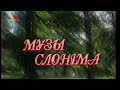 Музы Слонiма (1993) (БТ, 04.01.1999)