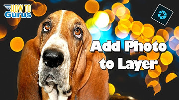 Photoshop Elements Tutorials for Beginners Add a Photo to a Layer