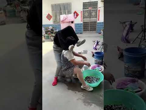 Best Funny Videos 2022 | Best Comedy Video 2022 #short