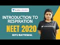Introduction to Respiration | Plant Respiration - NCERT Review | NEET 2020 | Ritu Rattewal