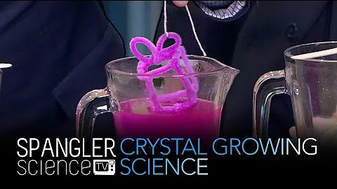 Crystal Growing Science - Cool Science Experiment