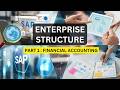 SAP FI Organizational/Enterprise Structure: Mastering the FI Enterprise Hierarchy