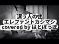 漂う人の性/エレファントカシマシ/宮本浩次/covered byはとぽっぽ