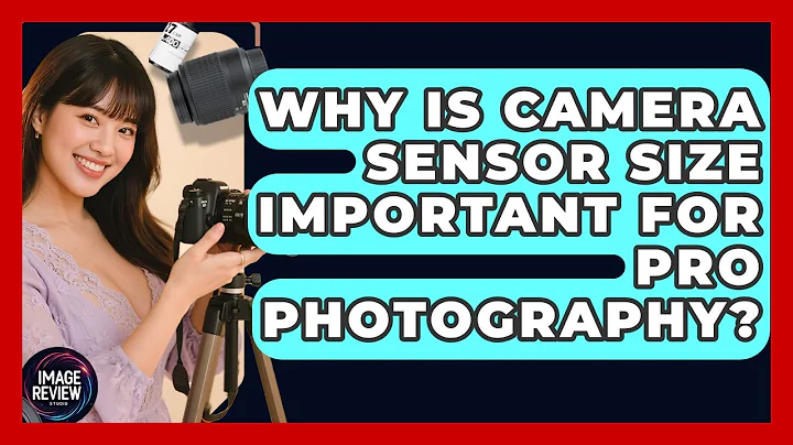 Why Is Camera Sensor Size Important For Pro Photography? - Image Review Studio