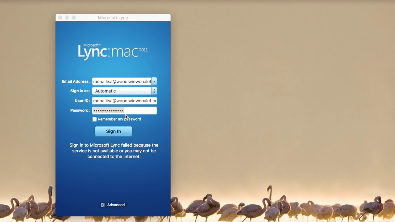 Troubleshooting For Lync For Mac