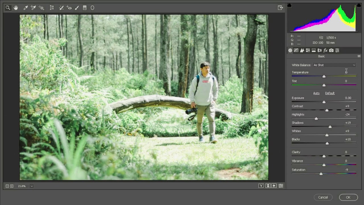 Cara Merubah Raw Ke Jpg Dengan Photoshop CARA MEMASUKAN PRESET XMP KE CAMERA RAW ADOBE PHOTOSHOP CC DENGAN MUDAH