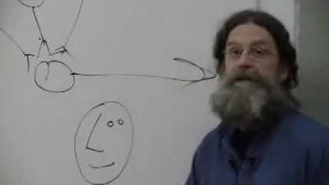 Robert Sapolsky - Neural networks in the brain