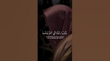 سورة فصلت-آيه 30~31🤍القارئ: ناصر القطامي