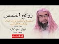 أغرب كلمات القرآن الكريم البحيرة و السائبة نبيل العوضي بث مباشر