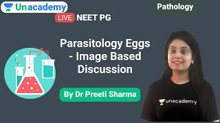 |NEET PG| Microbioligy| Parasitology Eggs - Image Based Discussion by Dr. Preeti Sharma screenshot 2