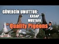 GÜVERCİN UMUTTUR: KASAP MUSTAFA - MANAVGAT