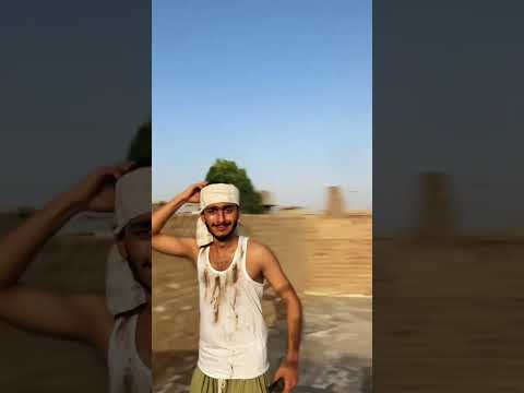 Qasai aur Bakra on eid #funny #bajraeid