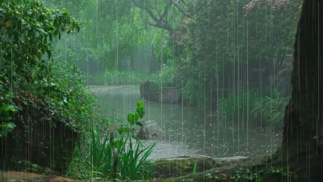 The beautiful little river is raining(118) , sleep, relax, meditate, ASMR, Real Shot