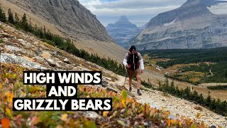Grizzly Bear Encounter on Siyeh Pass Trail in Glacier National Park