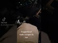 venomous snake escapes in car #snake #danger