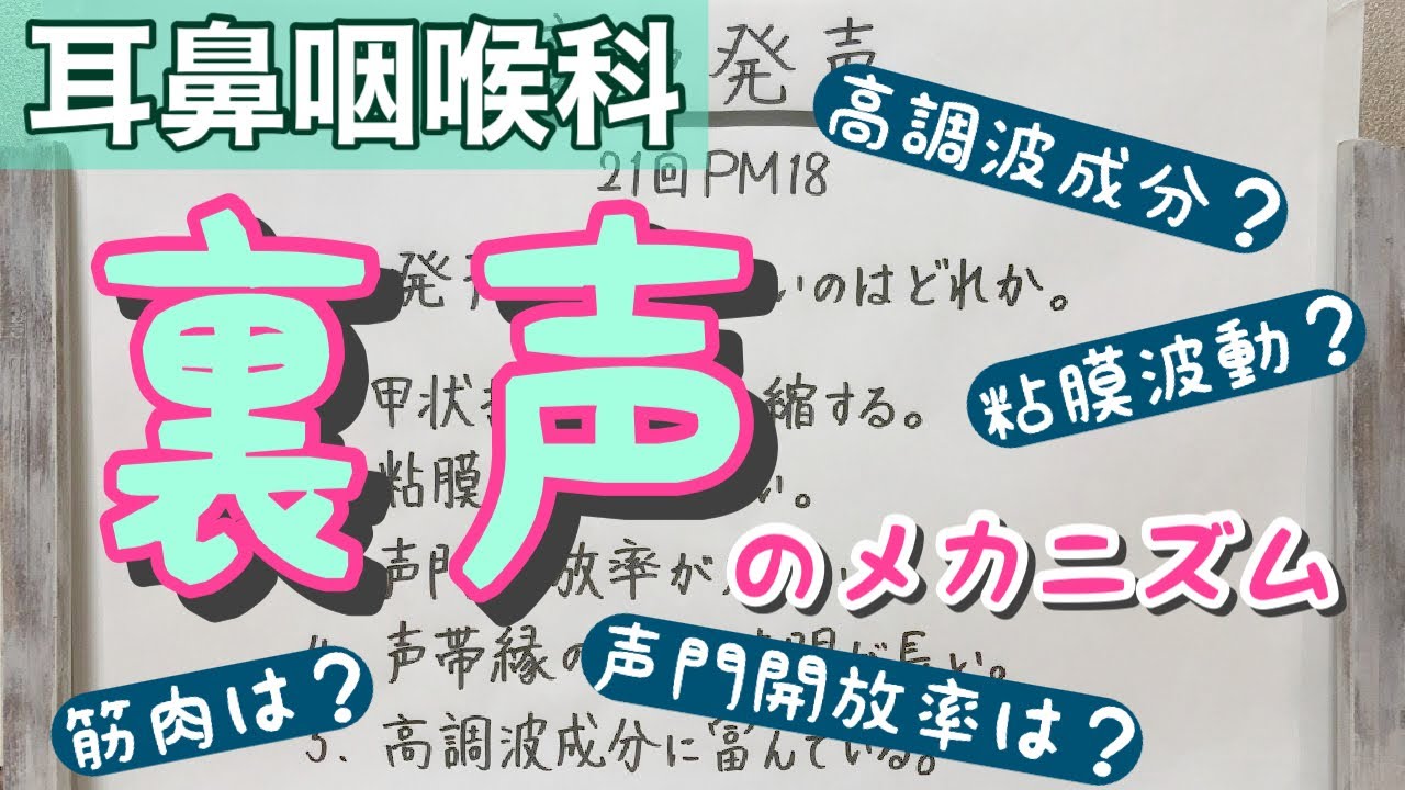 【解説】裏声発声の仕組みを知る！
