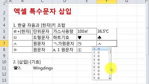 [엑셀활용팁]엑셀에서 특수문자 삽입