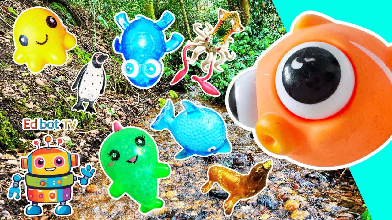 Learn Sea Animal Names & Facts for Kids at the Stream: Clownfish Blue ...