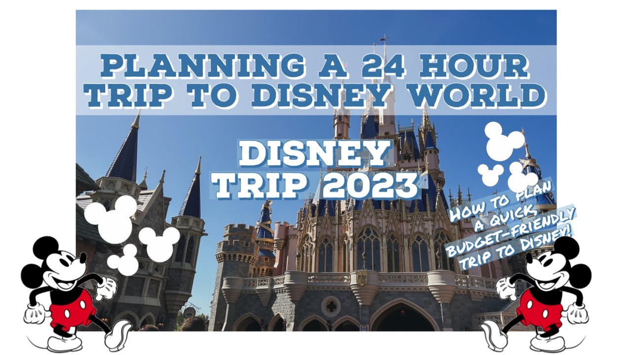 PLANNING A 24 HOUR DISNEY TRIP ✨ | how to plan a budget-friendly 24 hour  disney trip | RoyReadingCo - YouTube