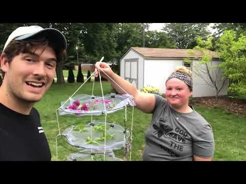 How to Build a 3 Tier Hanging Herb Drying Rack (SUPER SIMPLE)
