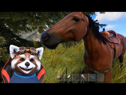 Video: Cum Să Joci Un Cal