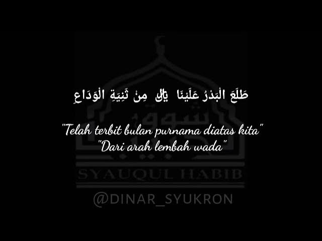 Soqollari ochilmagan tola ayollarning fotosuratlari Soqollari ochilmagan tola ayollarning fotosuratlari