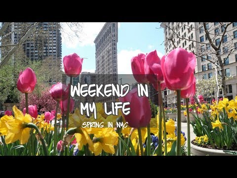 weekend in my life | new york university