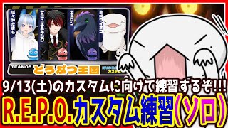 【 #REPO 】ひとりでカスタムの練習するぞ！！！ 【両生類系人外VTuber/半崎ウイネコ】