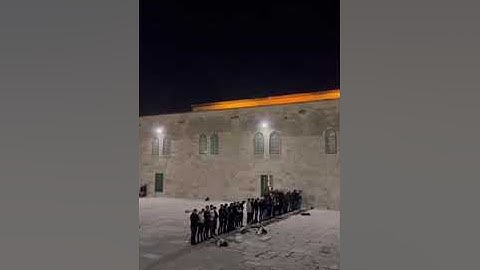 تلاوة من رحاب المسجد الأقصى القارئ محمد محاميد