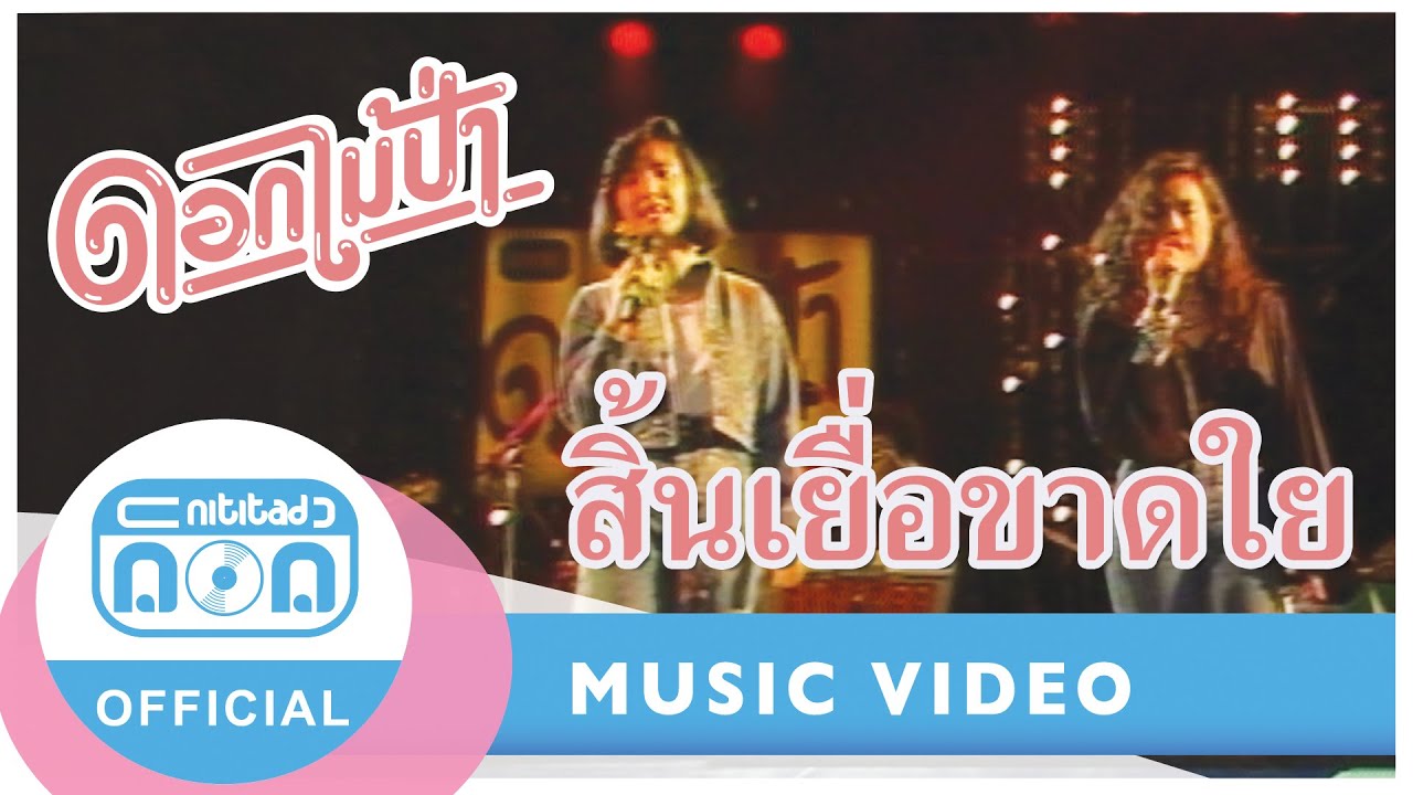 สิ้นเยื่อขาดใย Ver.3 ช่า - ดอกไม้ป่า (ภาพคอนเสิร์ต)