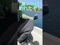 凄いのが釣れたぞ! #short